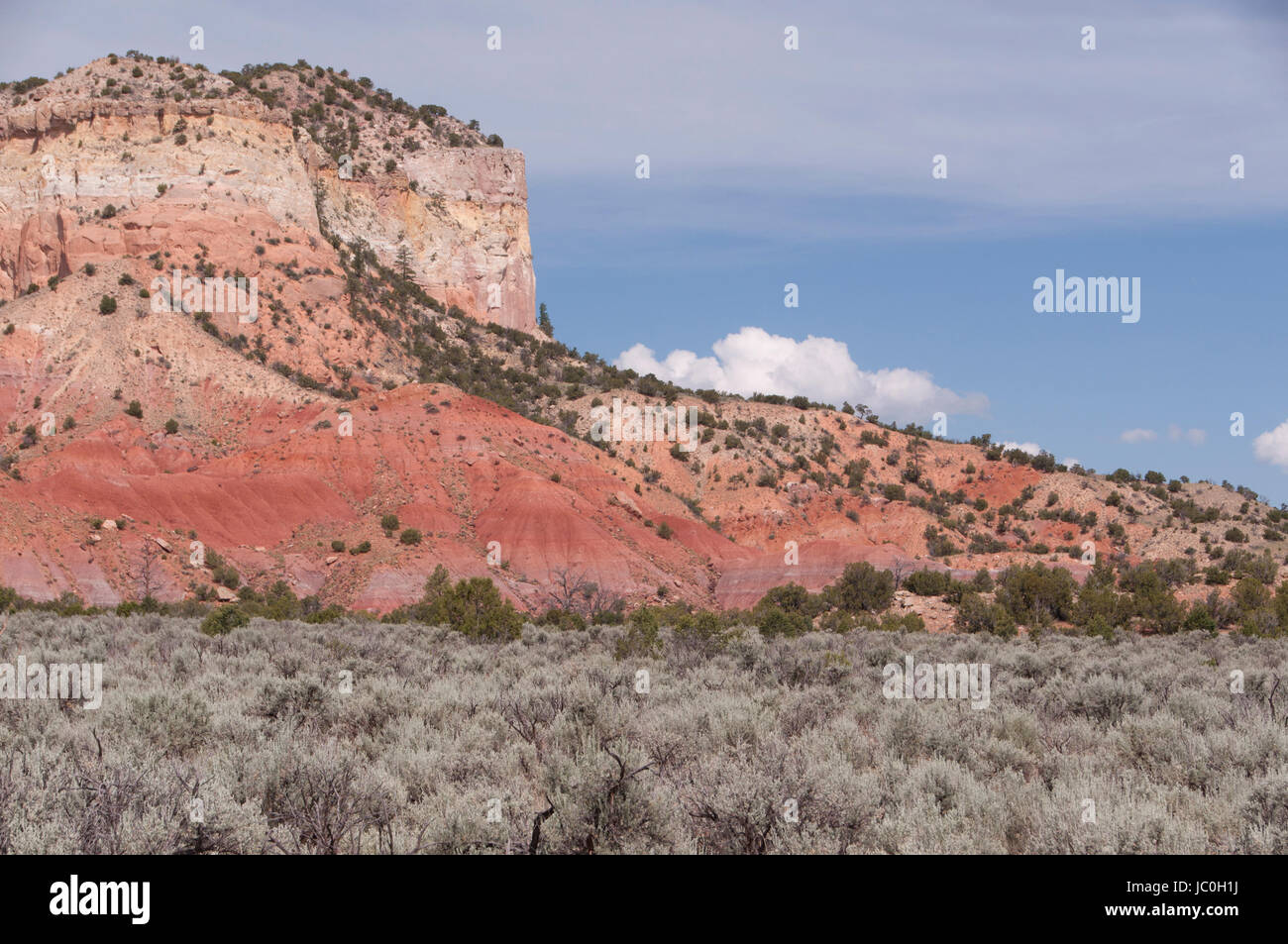 Falaise de entrada sandstone canyon de la rivière chama, désert, comté de Rio Arriba, Nouveau Mexique, USA Banque D'Images