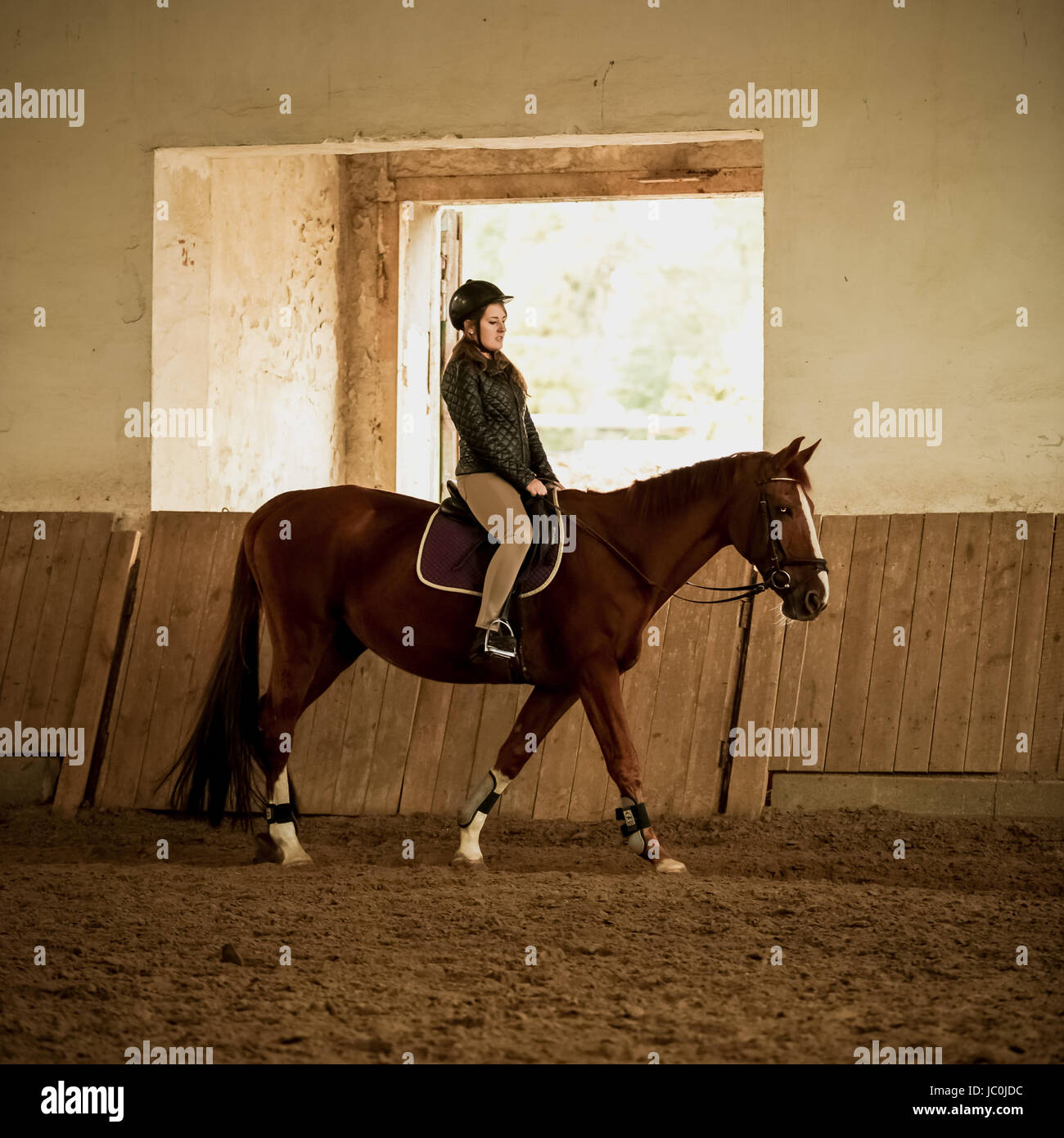 Jeune femme jockey formation à indoor arena Banque D'Images