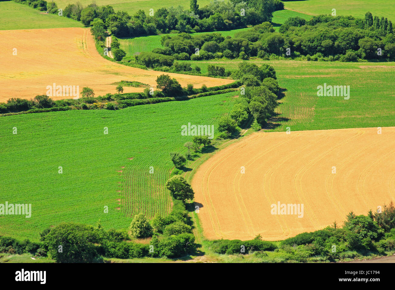 Felder in der Bretagne, Frankreich Banque D'Images