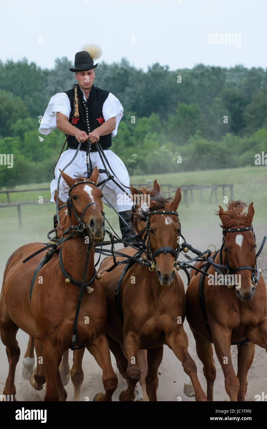 Horse Show sur Bugac Puszta,dans le parc national de Kiskunsag. Hongrie Banque D'Images