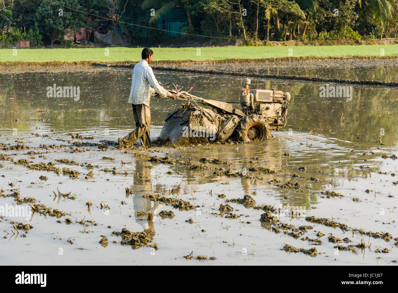 Un agriculteur travaille sur un champ de riz avec un cultivateur rotatif dans le cadre rural de la banlieue ville nouvelle Banque D'Images