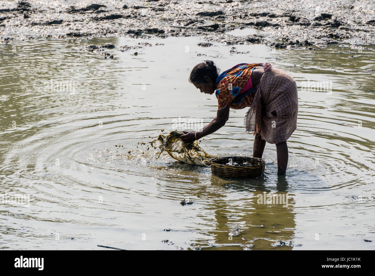 Une femme est le nettoyage de moules dans un cours d'eau dans l'environnement rural de la banlieue ville nouvelle Banque D'Images