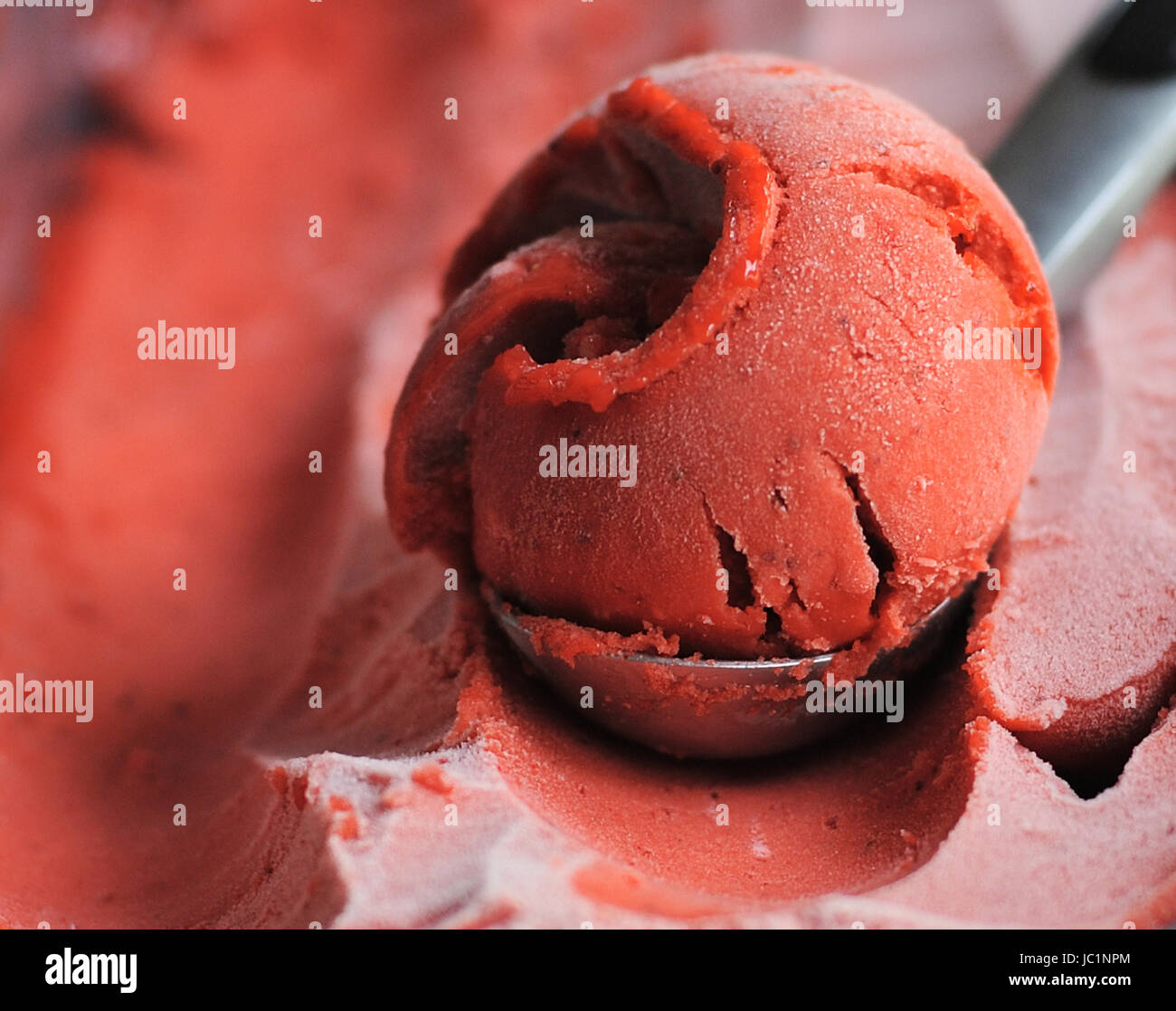 Fraise Bio faits maison cuillère à crème glacée de fruits, creusées dans un contenant de Banque D'Images Fraise Bio faits maison cuillère à crème glacée de fruits, creusées dans un contenant de Banque D'Images