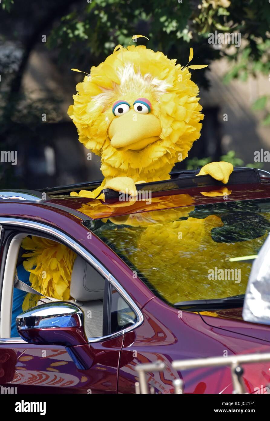 New York, NY, USA. 13 Juin, 2017. Big Bird de Sesame Street sur emplacement pour Sesame Street Films sur emplacement dans NYC, New York, NY, le 13 juin 2017. Credit : Derek Storm/Everett Collection/Alamy Live News Banque D'Images