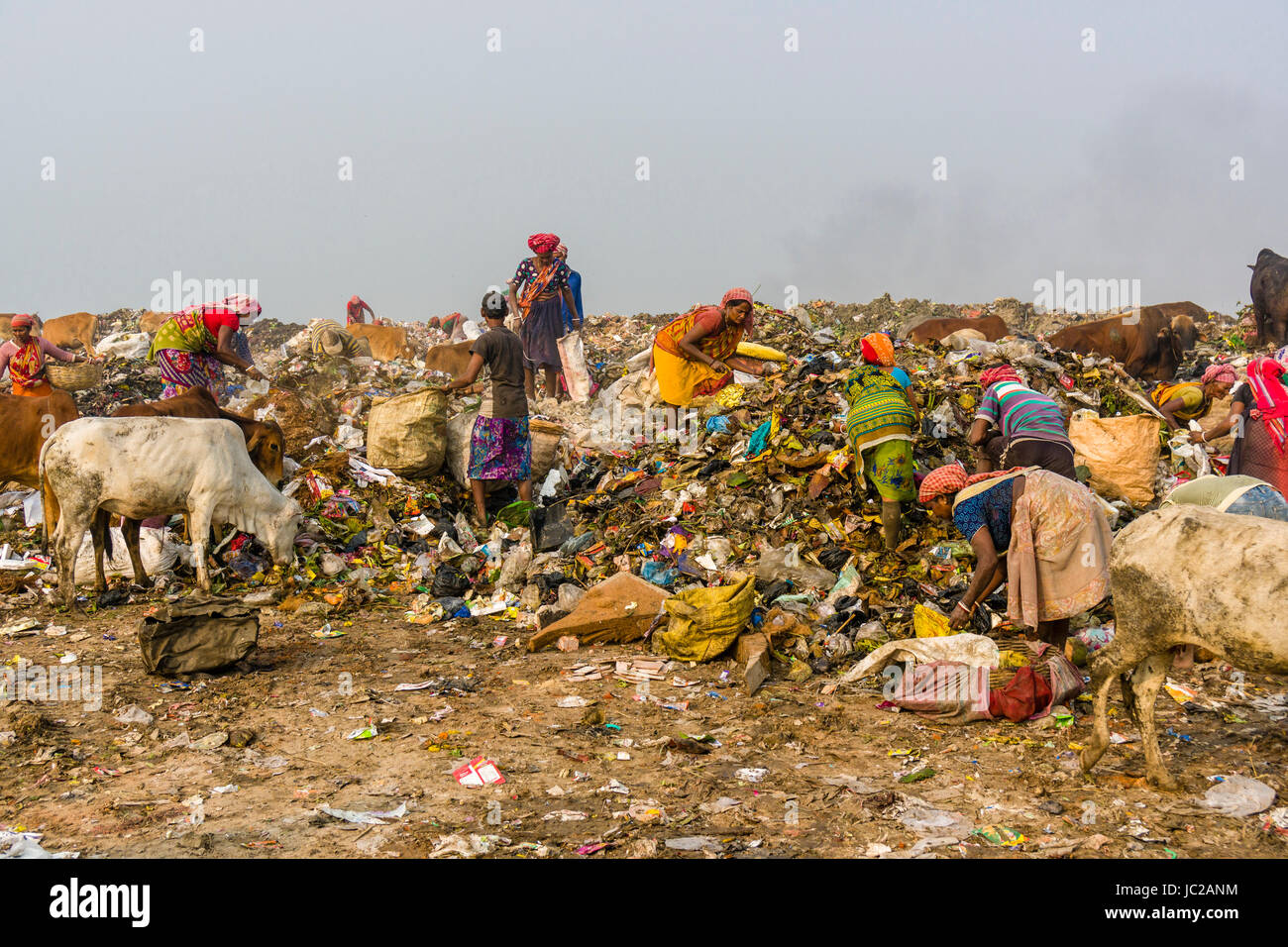 Les travailleurs sont la collecte des matériaux recyclables sur le dessus du dépotoir dhapa poussiéreux Banque D'Images
