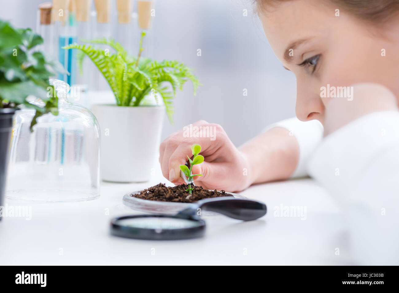 Vue de côté de petite fille travaillant avec plante verte dans le sol au  laboratoire Photo Stock - Alamy