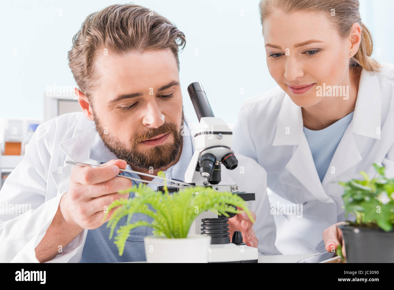 Deux scientifiques travaillant ensemble avec des pincettes et microscope in laboratory Banque D'Images