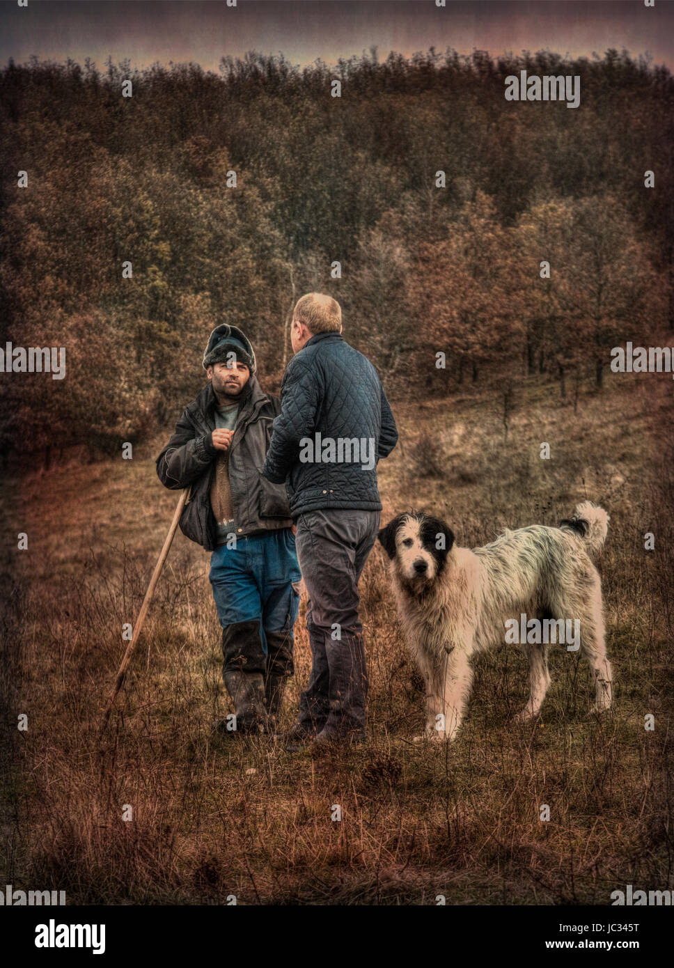 Farmer & Berger avec chien - Roumanie Banque D'Images