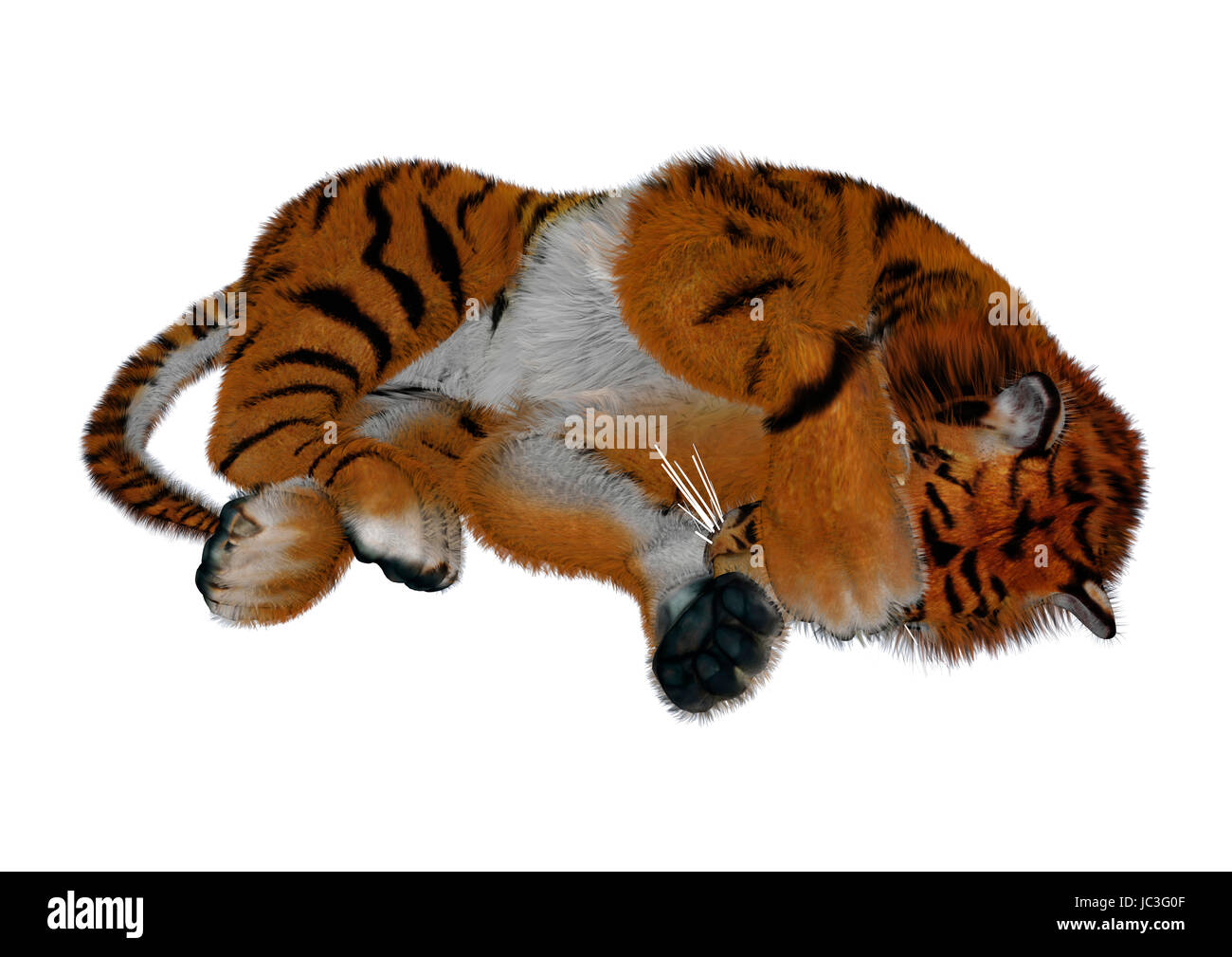 Numérique 3D render of a tiger couchage isolé sur fond blanc Banque D'Images