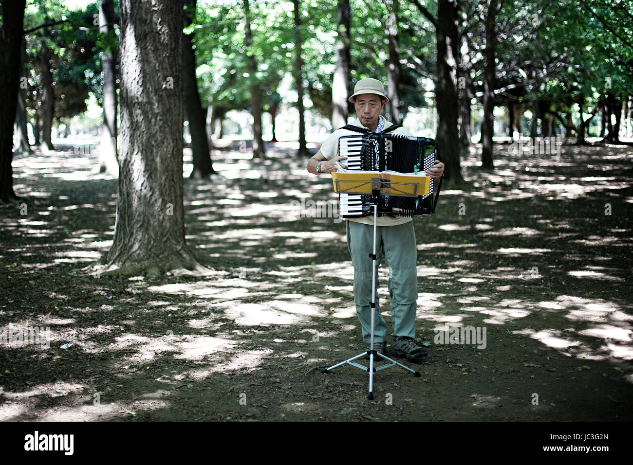 Tokyo, Japon - 17 juillet, 2011. Un accordéon est musicien de rue dans le Parc Yoyogi, à Tokyo, au Japon. Banque D'Images