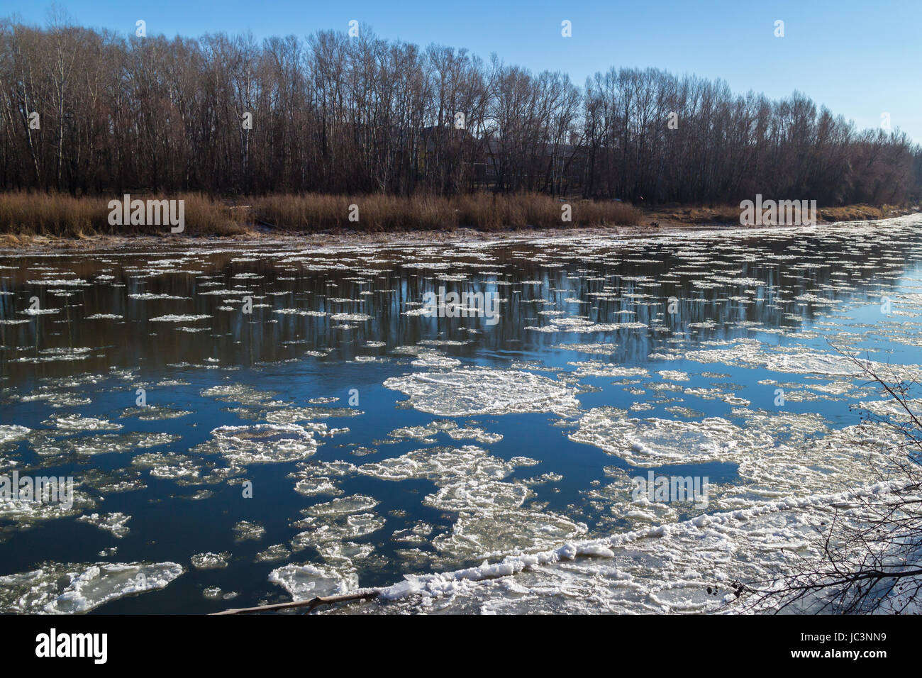 Plaques de glace circulaire flottant dans la rivière commence à geler Banque D'Images