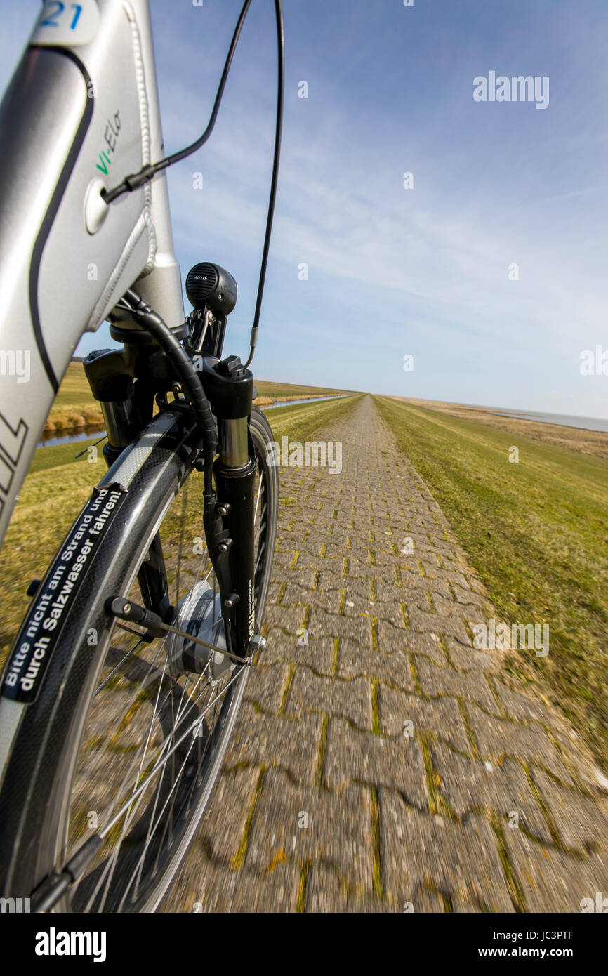 Mer du Nord, l'île de Norderney, Frise Orientale, en Allemagne, le Parc National de Wattenmeer, cycliste, vélo, piste cyclable, e-bike, location de vélos, Banque D'Images Mer du Nord, l'île de Norderney, Frise Orientale, en Allemagne, le Parc National de Wattenmeer, cycliste, vélo, piste cyclable, e-bike, location de vélos, Banque D'Images