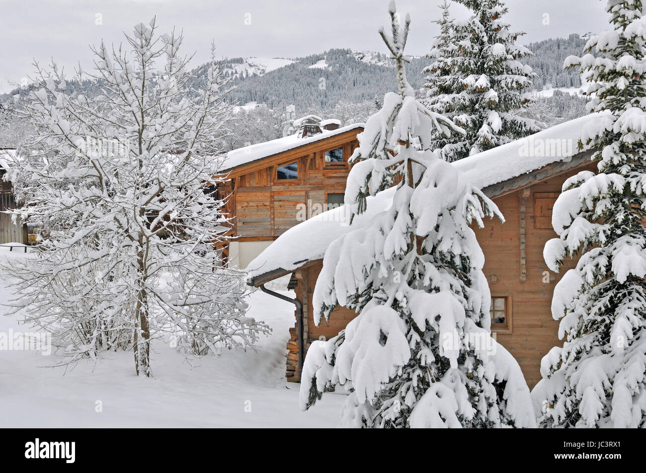 Chalets en bois façade dans les sapins il neige sur un village de montagne Banque D'Images