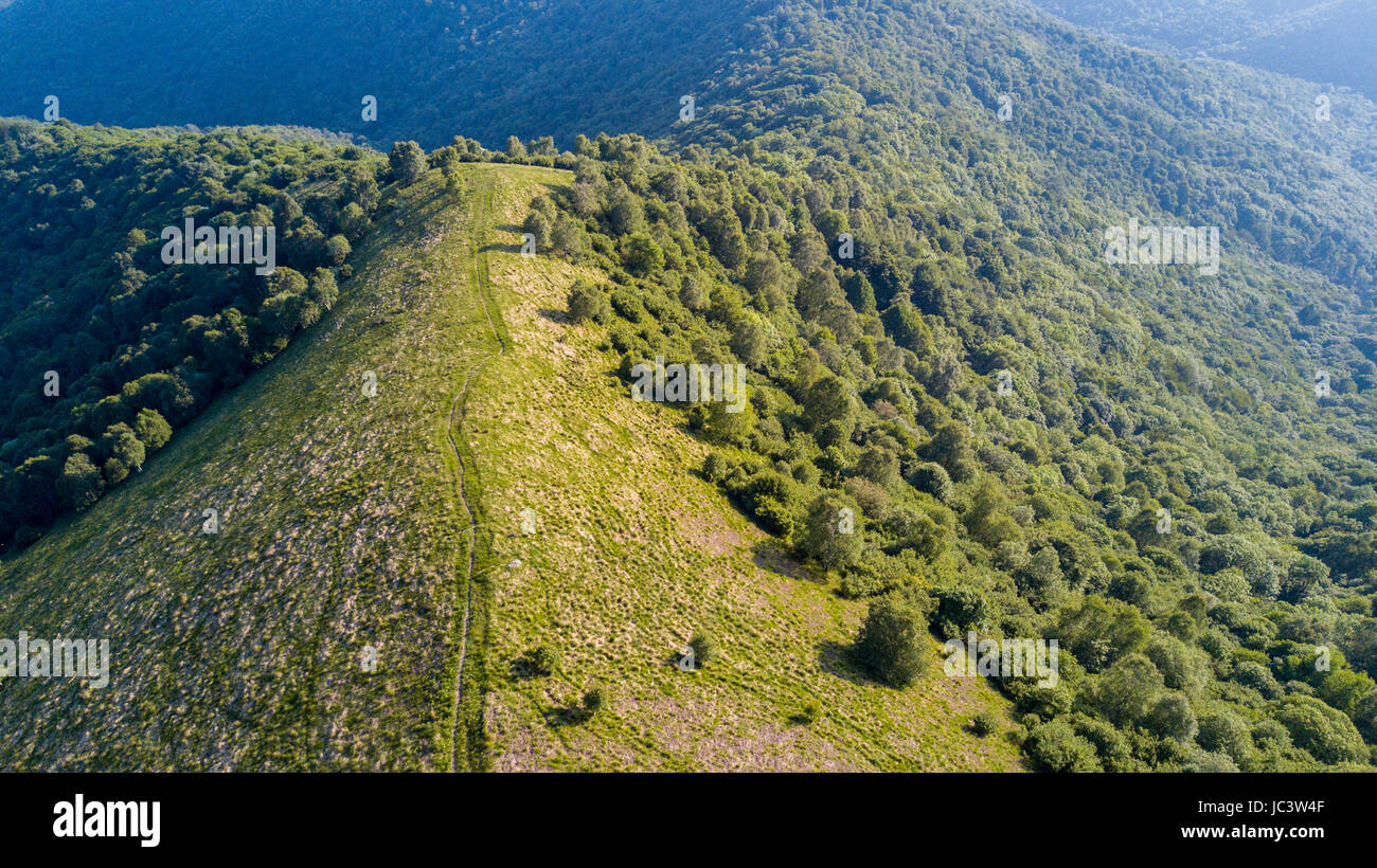 Vue aérienne d'un chemin menant à Monte Boletto, Alpes, près du lac de Côme. Como, Como, Lombardie, Italie Banque D'Images