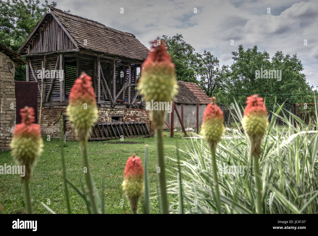 Campagne, Serbie - vieille grange en bois dans l'arrière-cour Banque D'Images