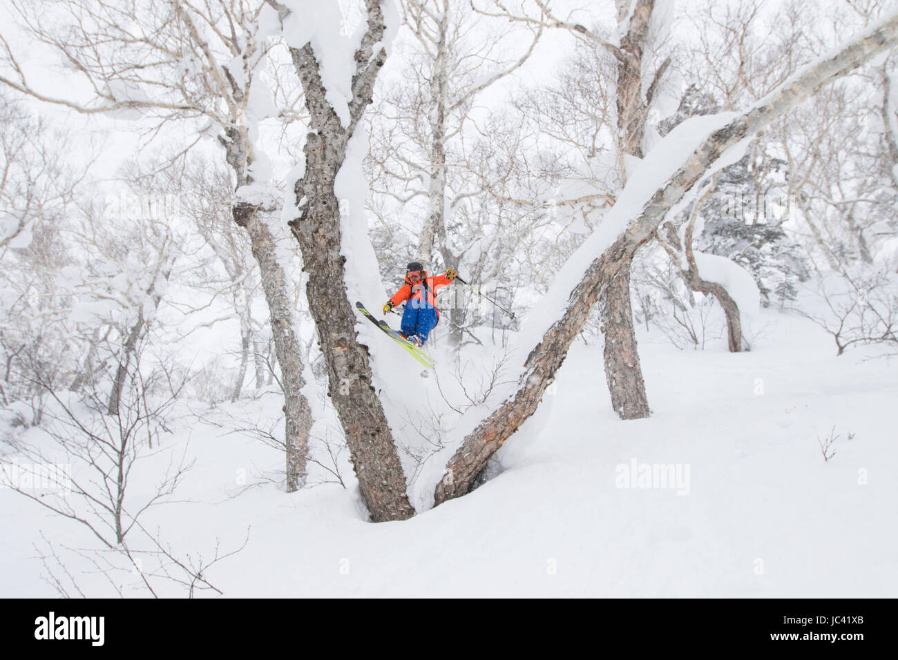 Un mâle est freerider pontant les arbres couverts de neige poudreuse profonde de Kiroro Skiing Resort sur l'île d'Hokkaido, l'île du nord du Japon, célèbre pour l'extrême neige tomber. Banque D'Images