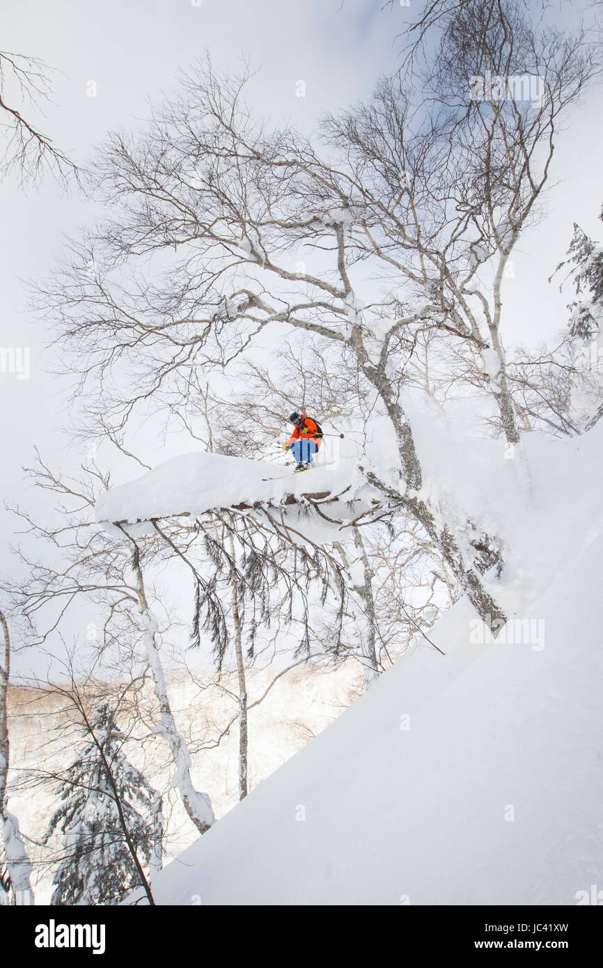 Un mâle est freerider en sautant d'un arbre couvert de neige dans la poudreuse profonde de Kiroro Skiing Resort sur l'île d'Hokkaido, l'île du nord du Japon, célèbre pour l'extrême neige tomber. Banque D'Images