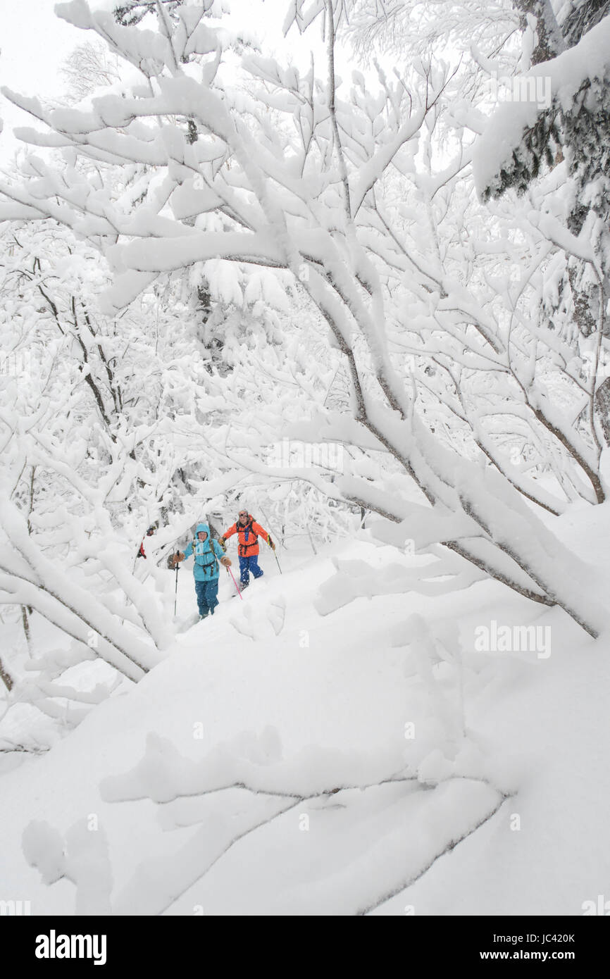 Deux skieurs de l'arrière-pays (un homme et une femme en vêtements colorés) sont le ski de randonnée à l'Tokachidake, une montagne à Kamifurano sur Hokkaido, Japon. Les trois sont recouverts d'une épaisse couche de neige. Banque D'Images