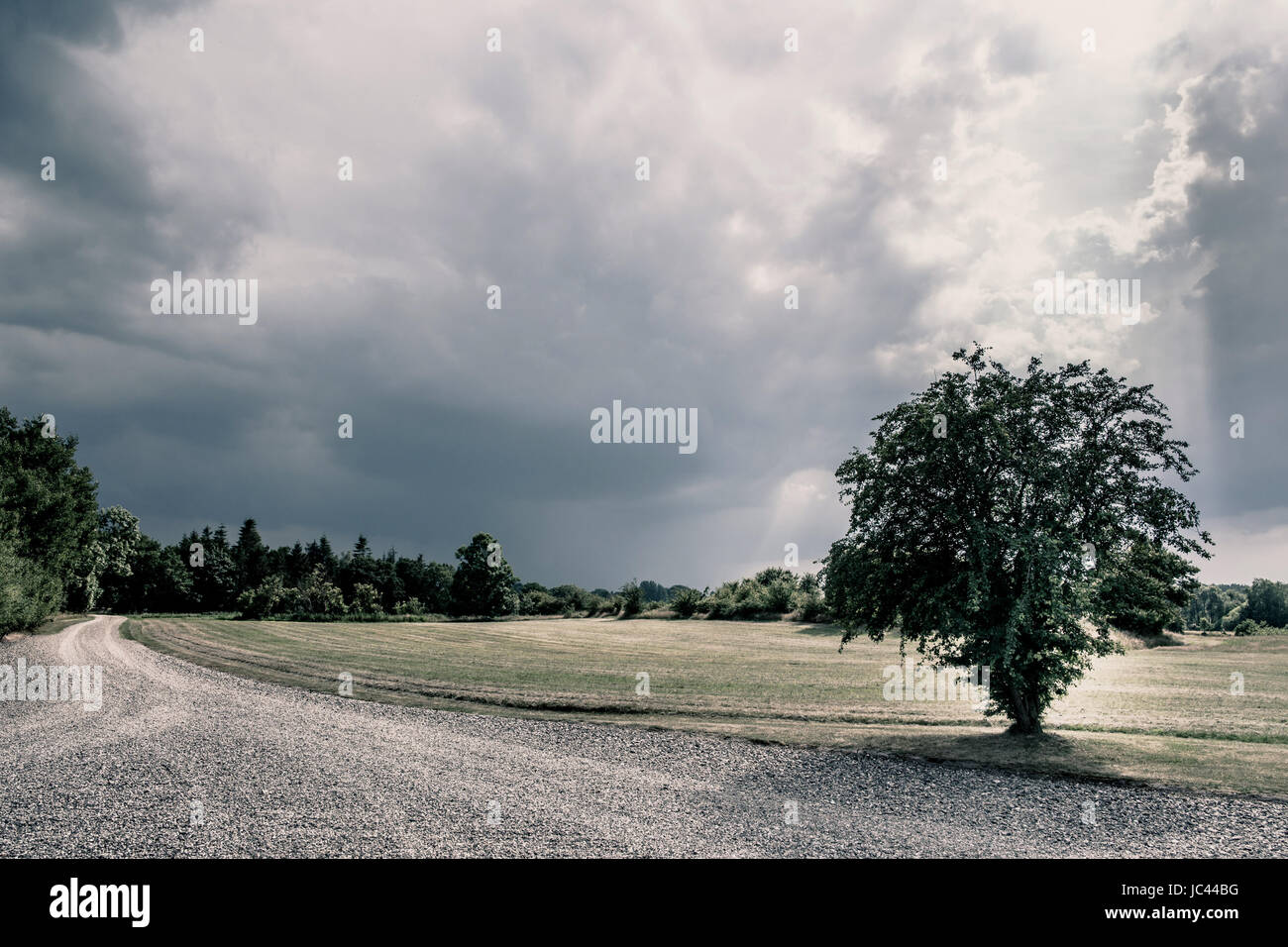 Des champs verts et temps nuageux Banque D'Images