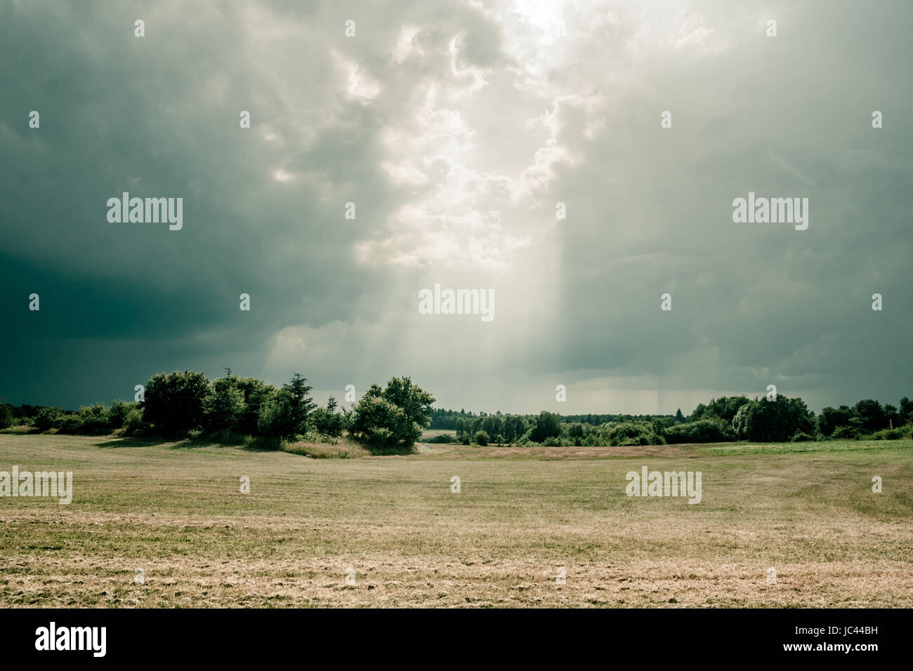 Des champs verts et temps nuageux Banque D'Images