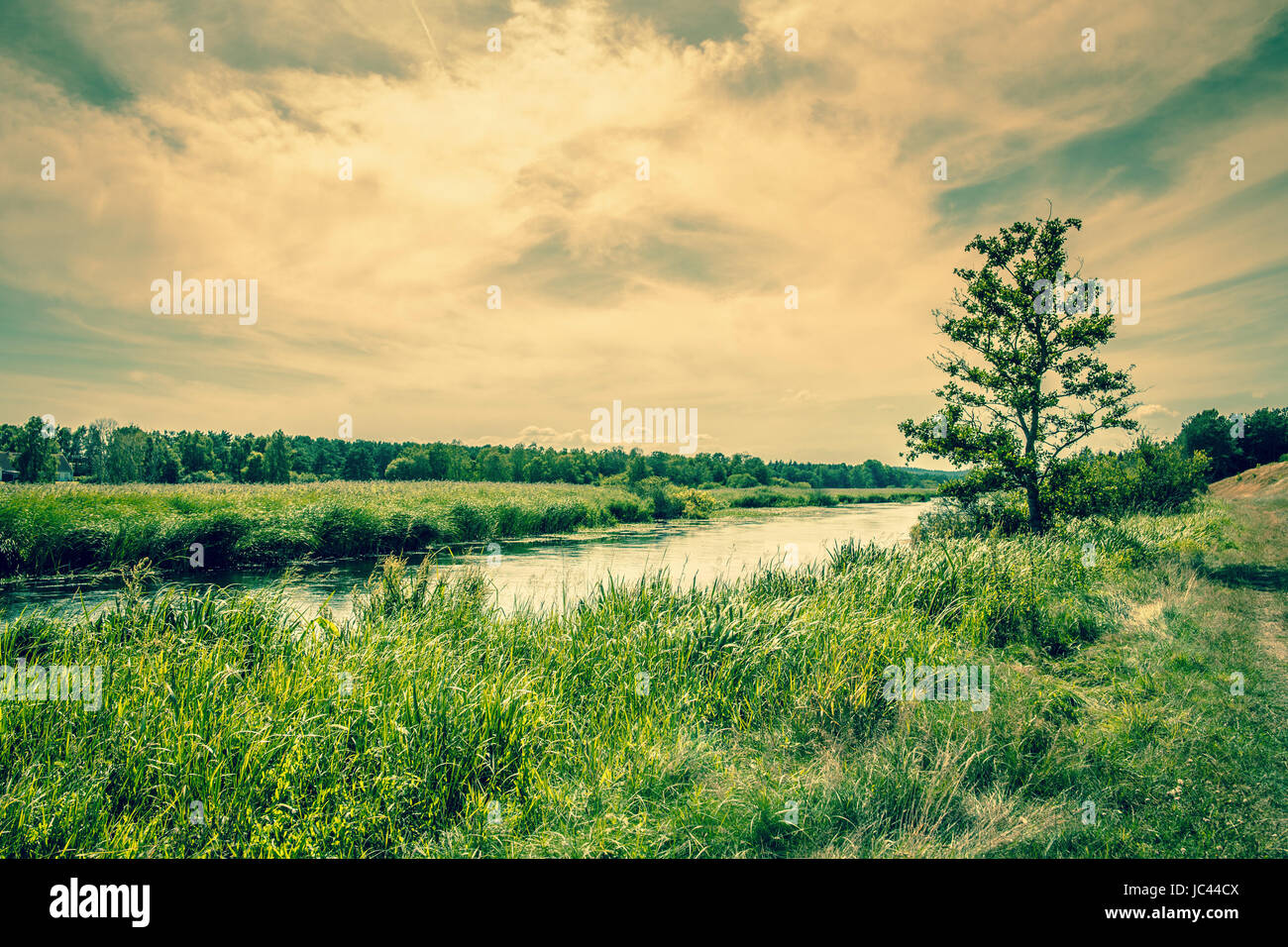 Belle rivière paysage avec un arbre solitaire Banque D'Images