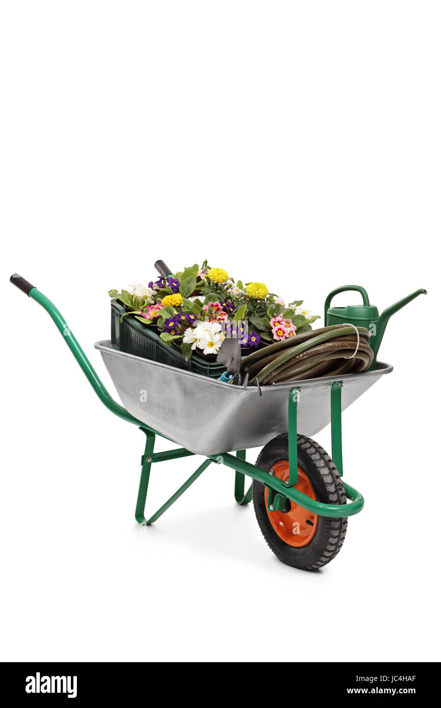 Brouette remplie de fleurs et de jardinage isolé sur fond blanc Banque D'Images