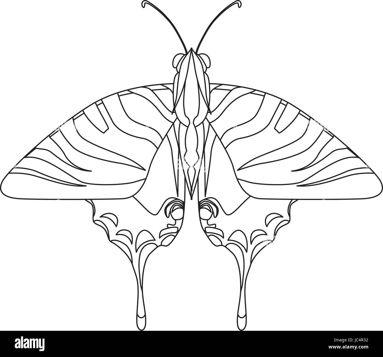Papillon belle silhouette Illustration de Vecteur