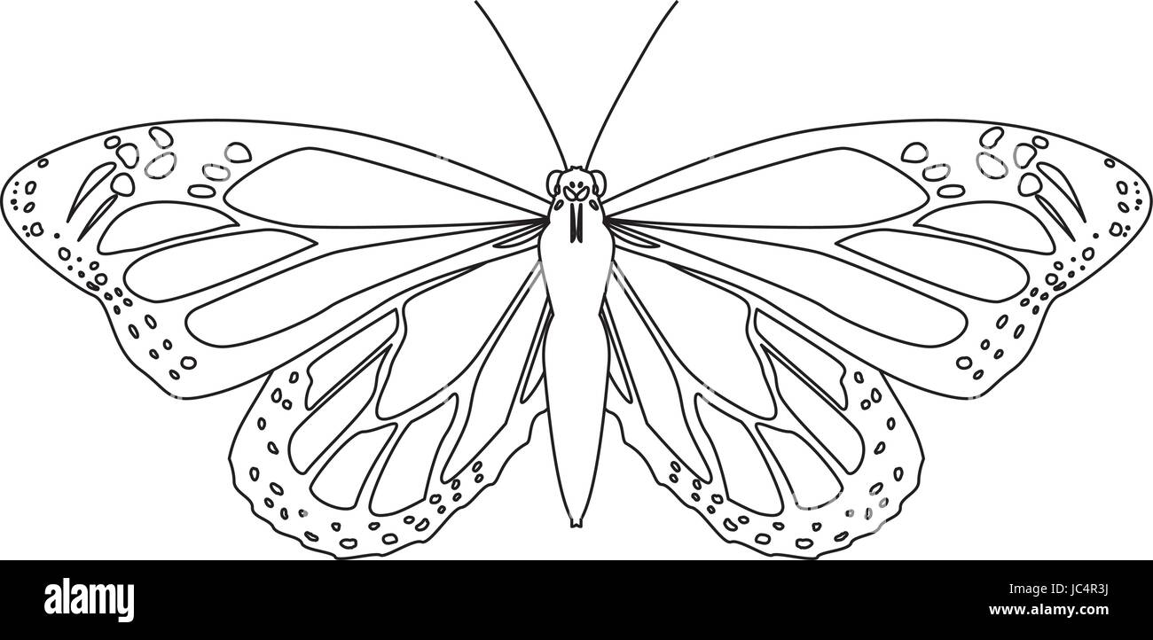 Papillon belle silhouette Illustration de Vecteur