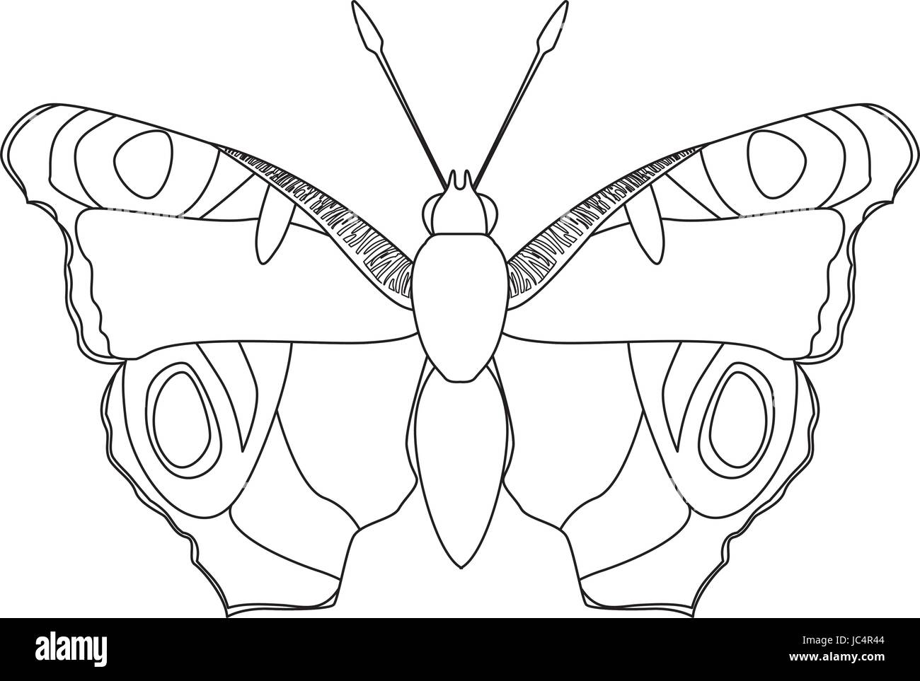 Papillon belle silhouette Illustration de Vecteur