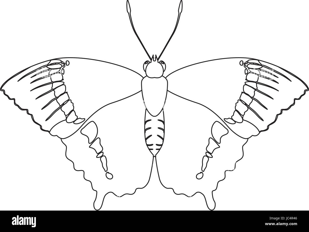Papillon belle silhouette Illustration de Vecteur