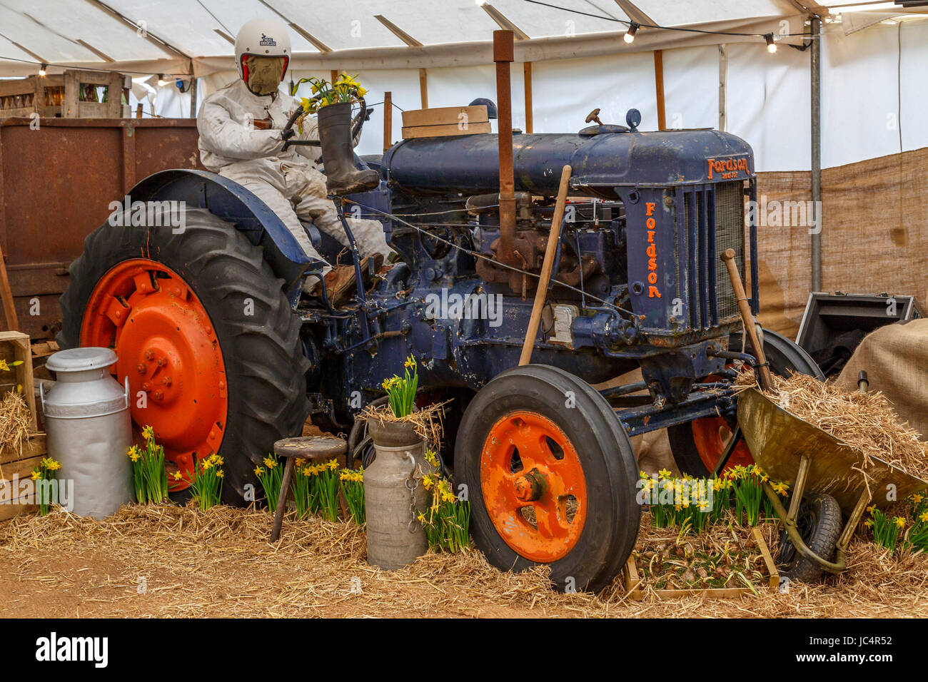 Tracteur Fordson Major dans un affichage à l'intérieur de la ferme des loisirs Cafe de la jonquille à Goodwood GRRC MEMBRES 75e séance, Sussex, UK. Banque D'Images Tracteur Fordson Major dans un affichage à l'intérieur de la ferme des loisirs Cafe de la jonquille à Goodwood GRRC MEMBRES 75e séance, Sussex, UK. Banque D'Images