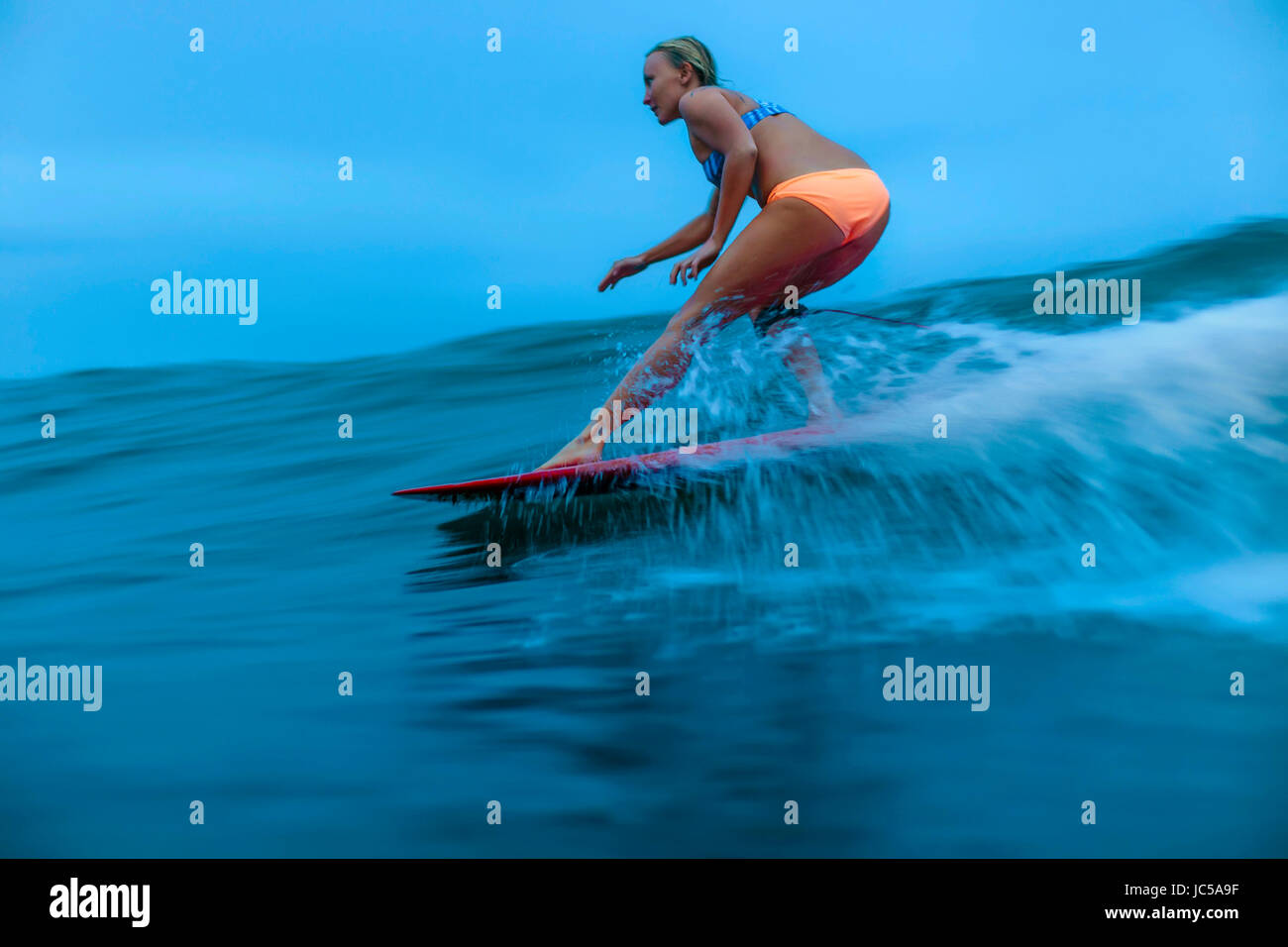 Surfer sur la vague des femmes Banque D'Images
