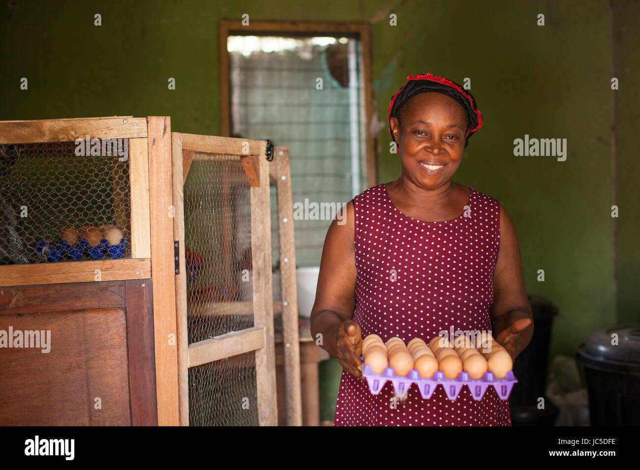 Une femme éleveur de volailles, le Nigeria, l'Afrique Banque D'Images