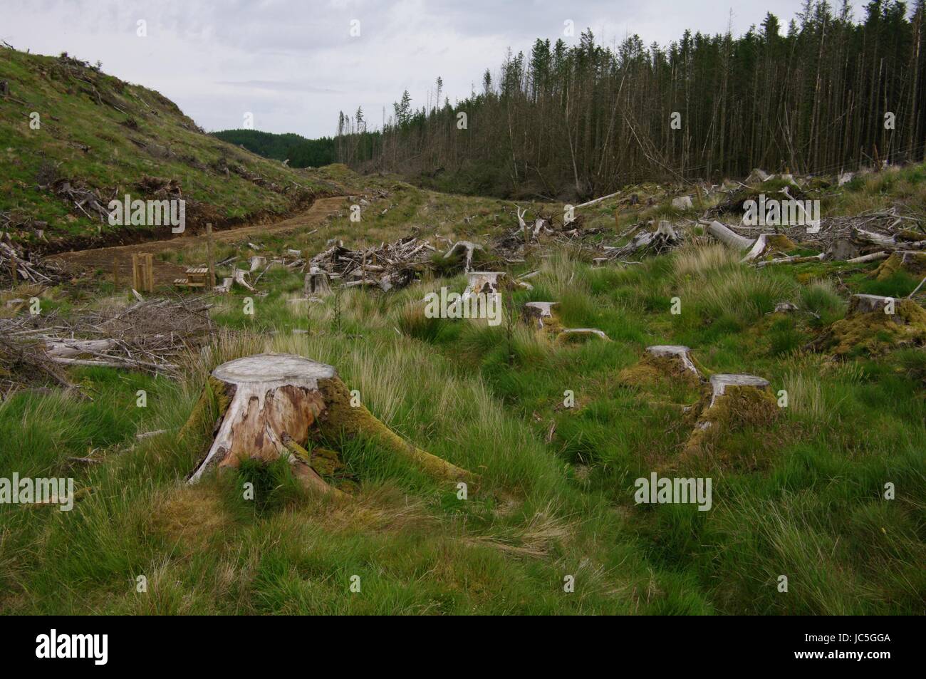 Kilmore, Isle of Mull, Scotland Banque D'Images
