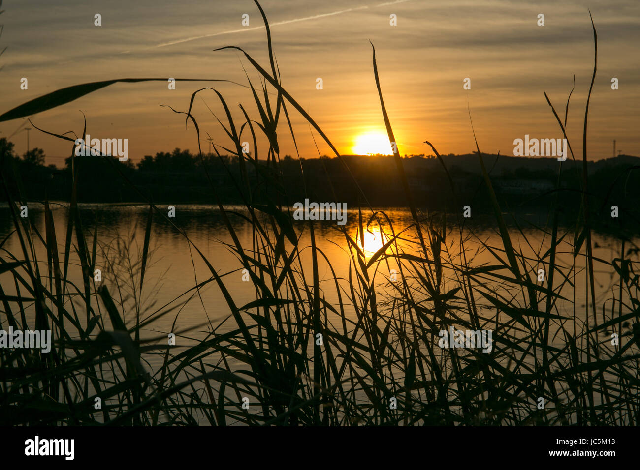 Vue sur le coucher du soleil avec des arbres et de l'eau reflet dans un lac. Banque D'Images