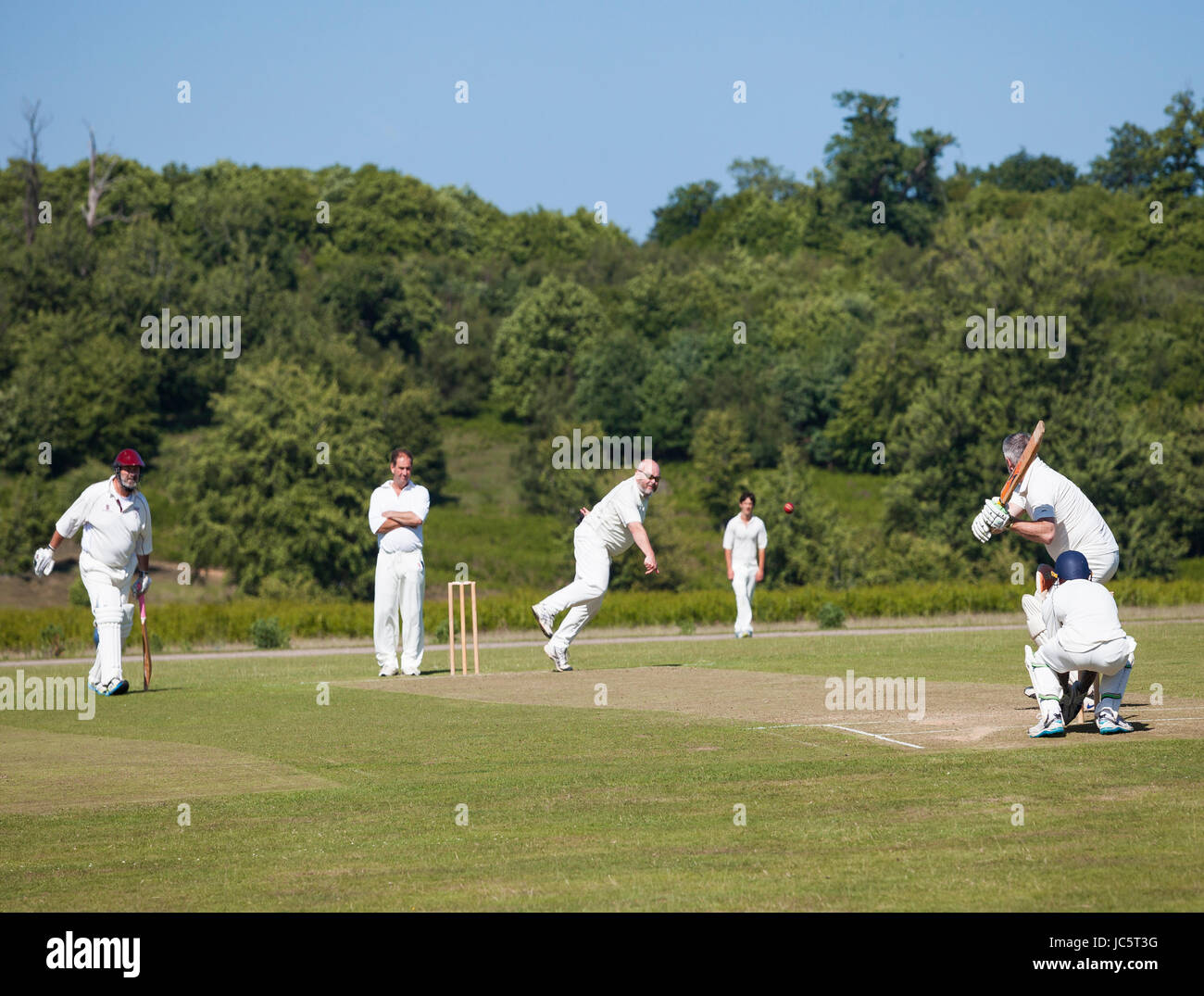 Les hommes à jouer au cricket dans Knole Park Sevenoaks. Banque D'Images