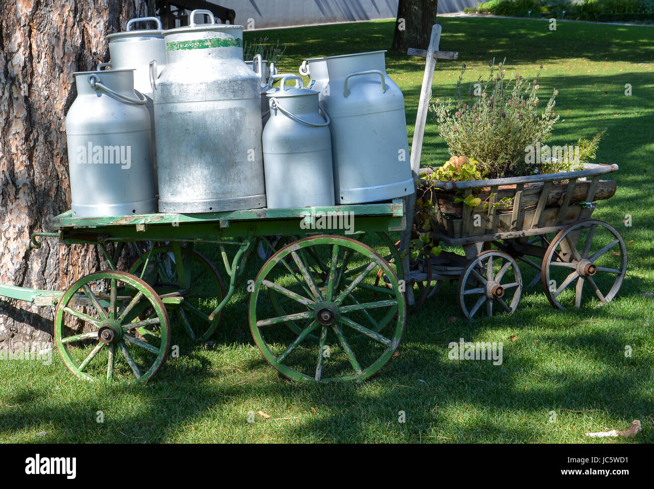 Plusieurs vieux bidons de lait sur un chariot au Gurten à Berne' 'au soleil Banque D'Images