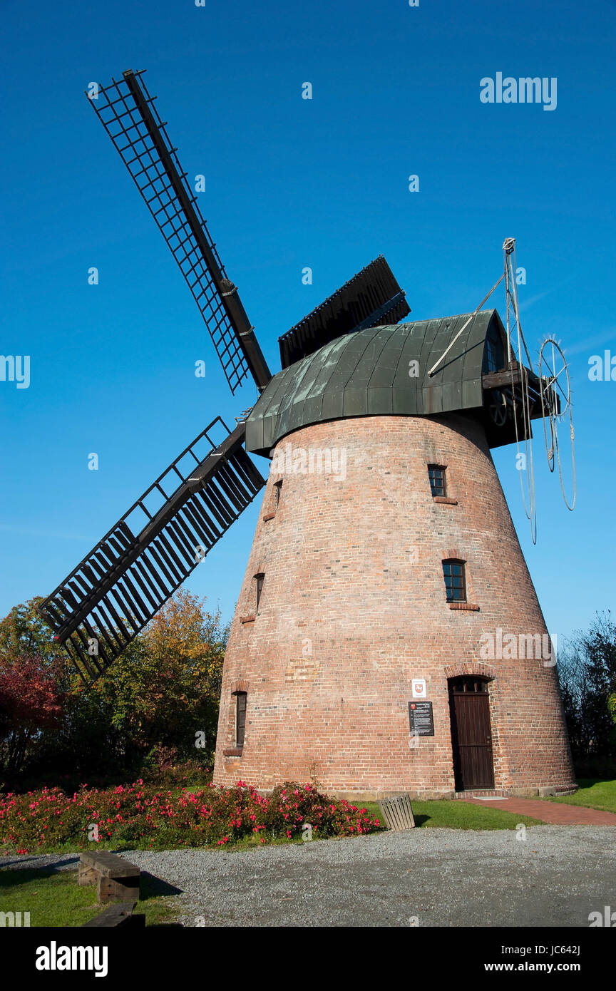 Mill, moulin de chèvre néerlandais, Soehlde, cercle Hildesheim, Basse-Saxe, Allemagne, Muehle, Hollaender de Bockwindmuehle, Kreis Hildesheim, Basse-Saxe, de Banque D'Images