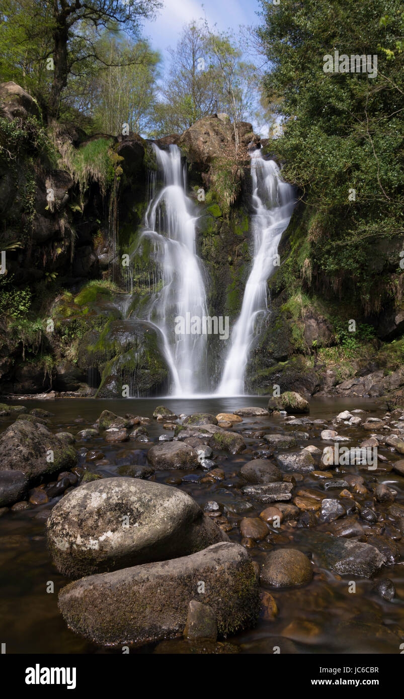 Posforth Gill, vallée de la désolation, près de Bolton Abbey, Yorkshire, Royaume-Uni. Banque D'Images