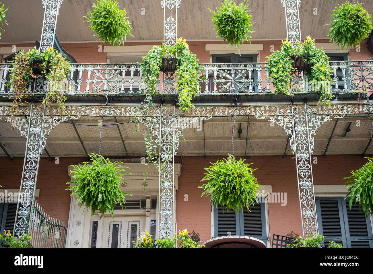 Un écrin de verdure décorant le fer forgé détaillant en filigrane d'un balcon typique d'un double-gallery building dans le quartier français de La Nouvelle-Orléans, Banque D'Images