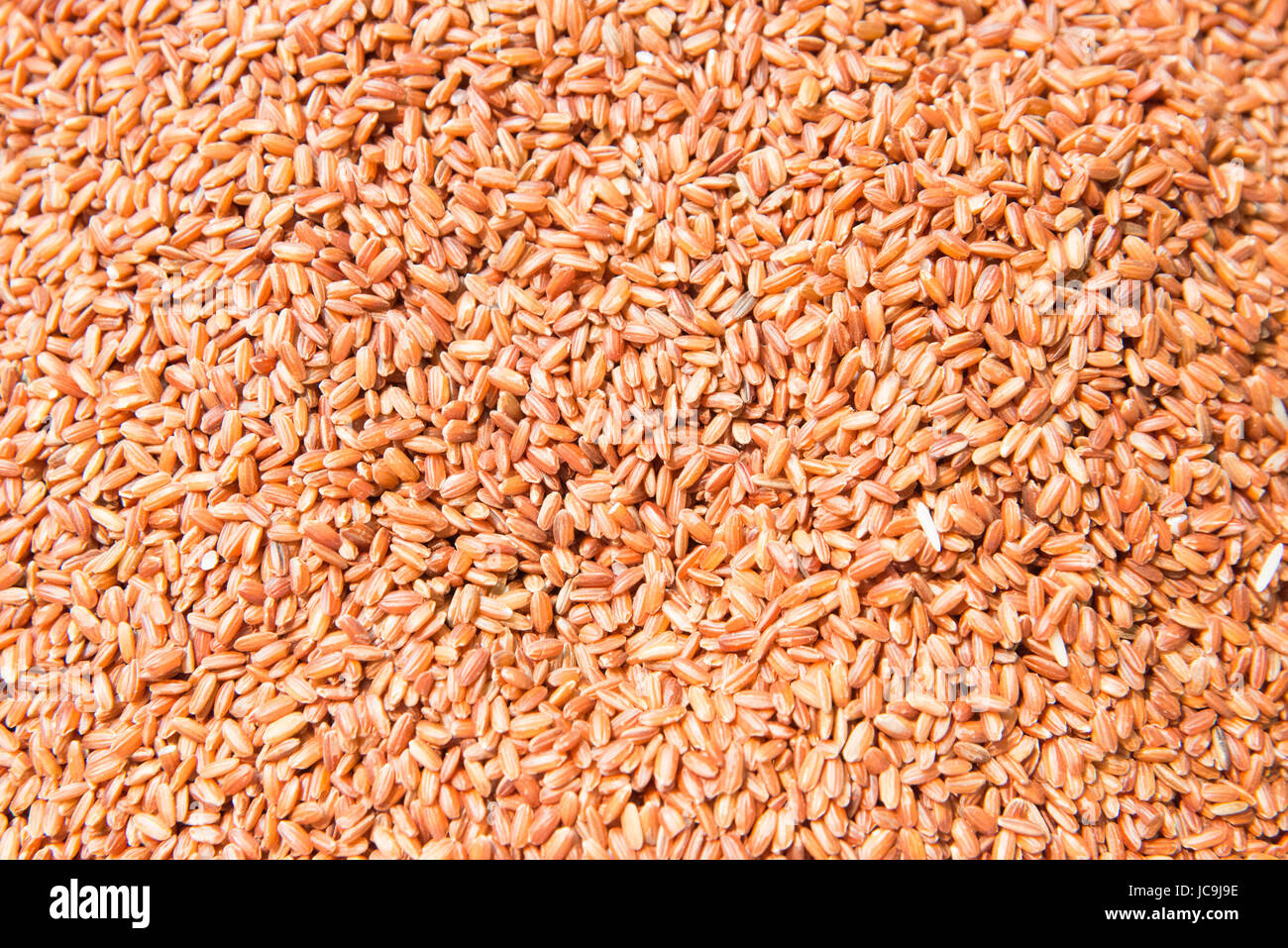 Tigre de l'Inde, le riz et la texture de fond de riz Banque D'Images