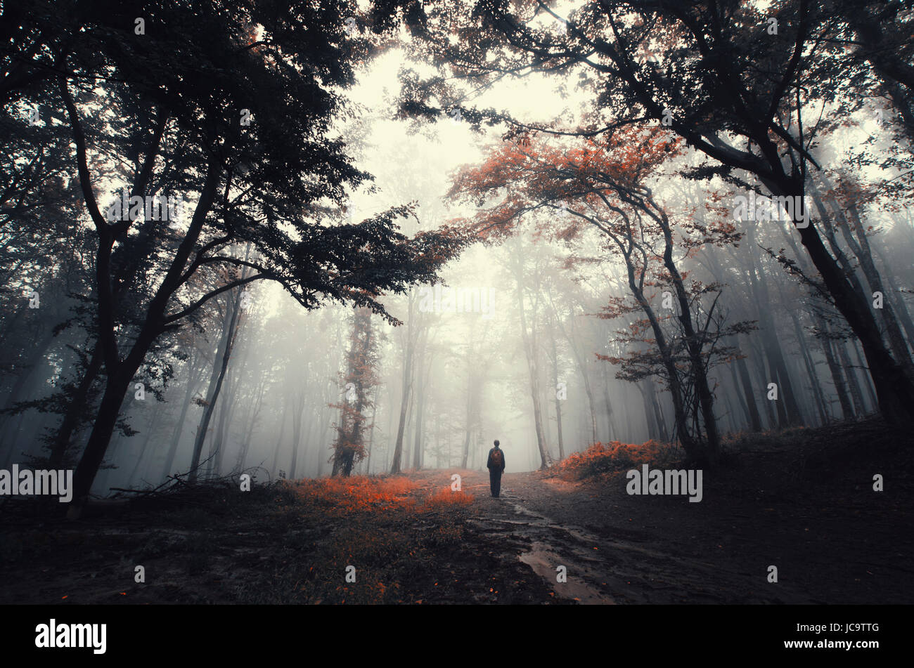 Homme marchant sur Fantasy Forest path avec des arbres dans la brume Banque D'Images