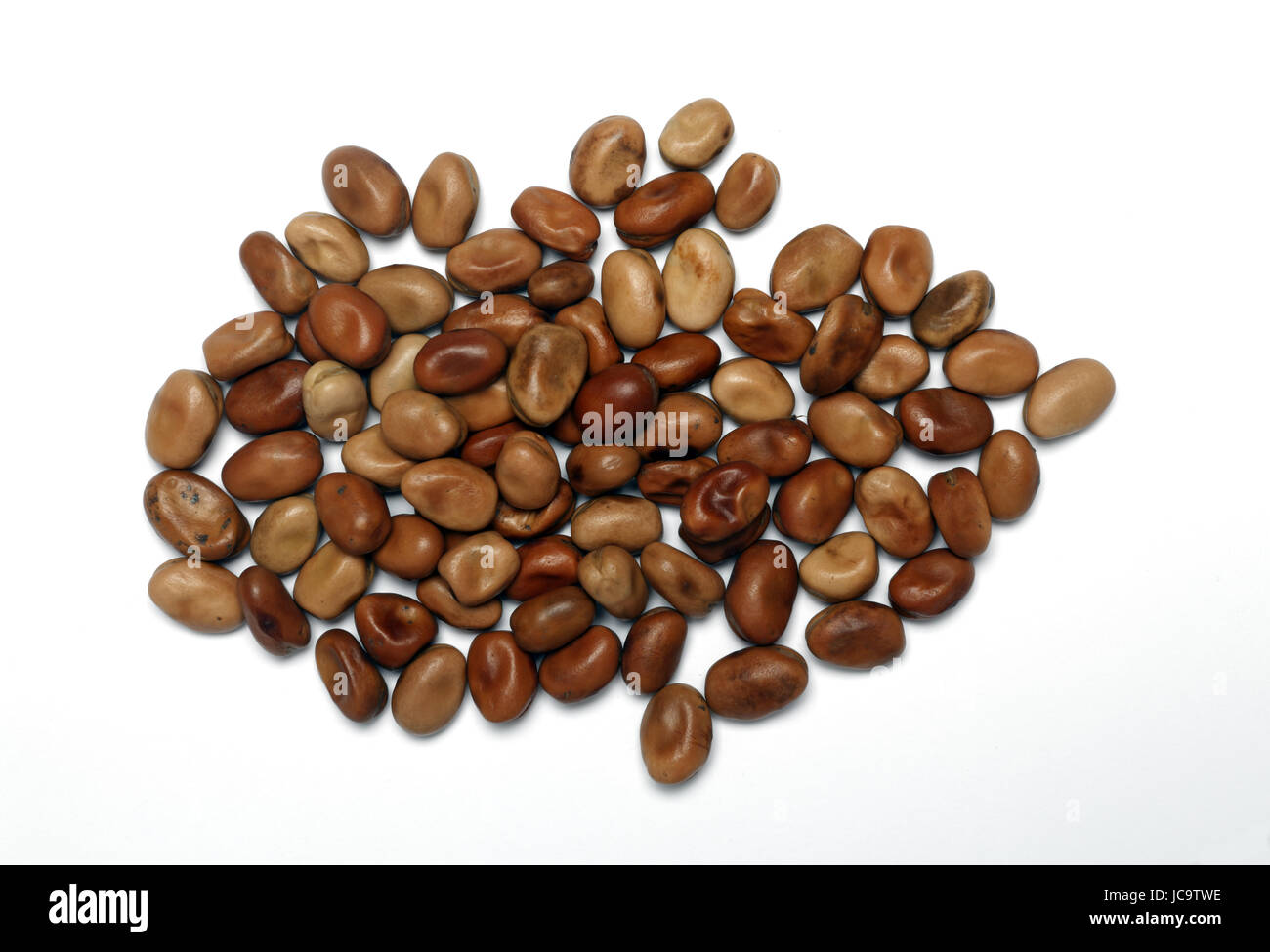 Haricots de Fava. Banque D'Images