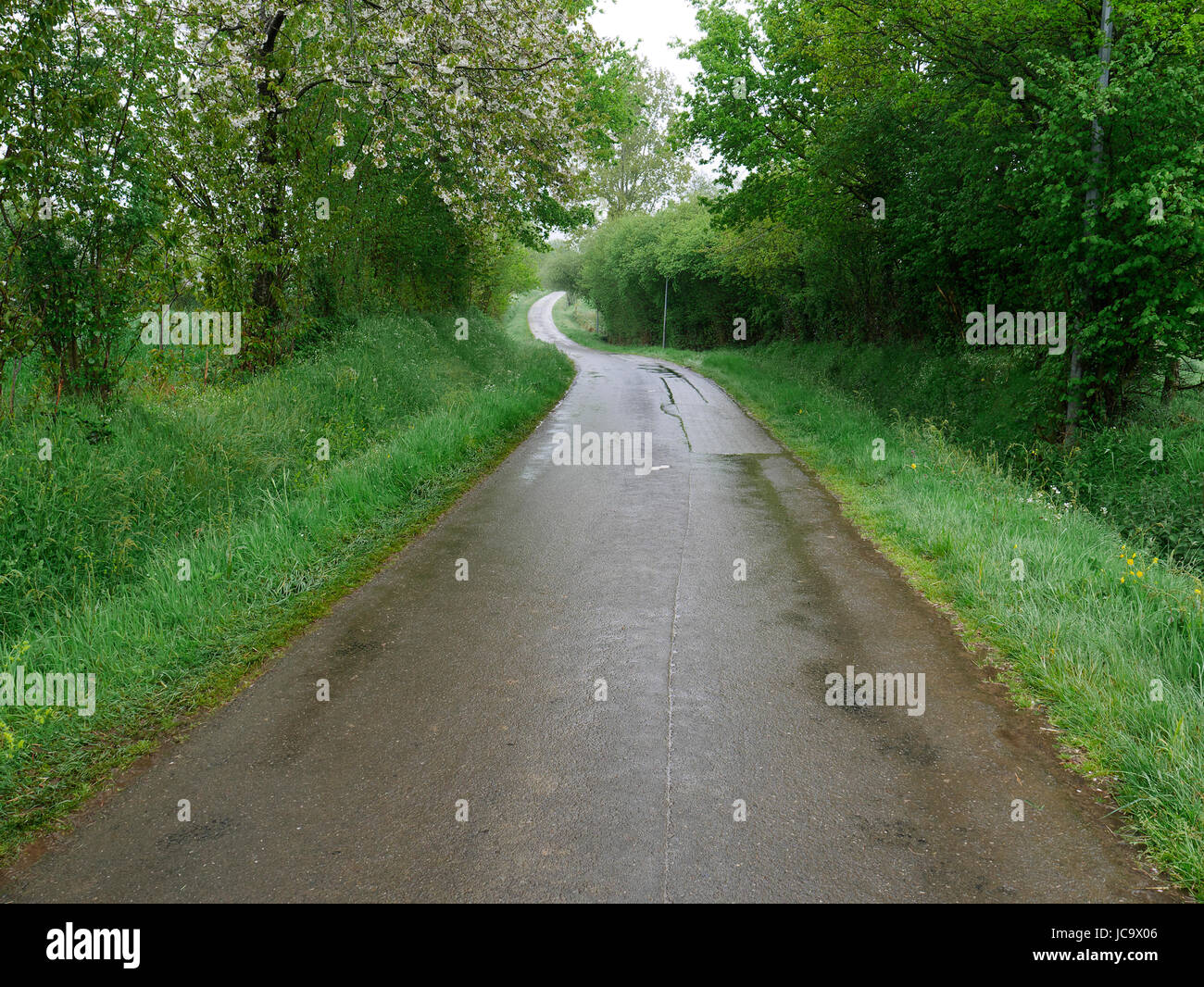 Petite Route De Campagne Apres La Pluie Route Bordee D Treel Nord De La Mayenne Pays De La Loire France Photo Stock Alamy