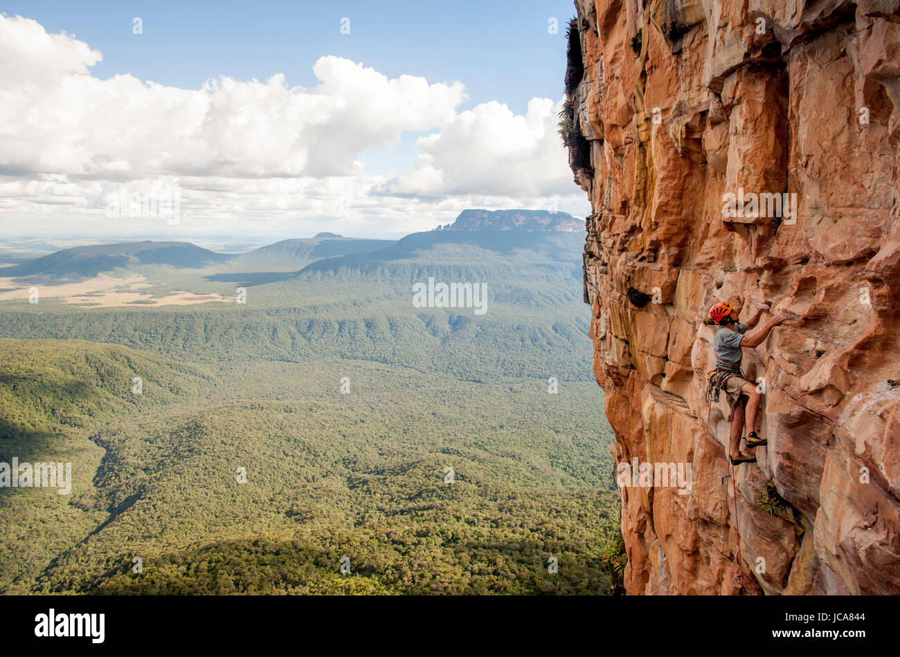 Stephane Hanssens l'escalade. Apichavai 8a + - 500 mètres de haut - Venezuela jungle expédition brouilleurs à Amuri tepuy et Tuyuren cascades, avec Nicolas Favresse, Sean Villanueva, Stéphane Hanssens et Jean louis Wertz. L'équipe de monter à nouveau sur le climbingroutes Tepuy, qui est de 3 jours de marche du village de Yunek près de Santa Helena et le Salto Angel(canaima). Banque D'Images