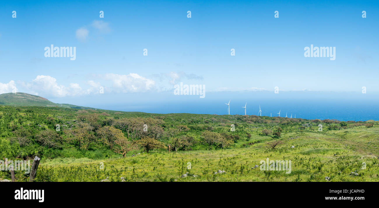 Auwahi éoliennes autour de l'arrière de Haleakala sur Maui Banque D'Images