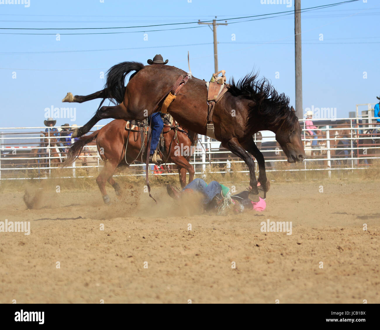 En cow-boy n'a pas éteint une selle bronc Banque D'Images