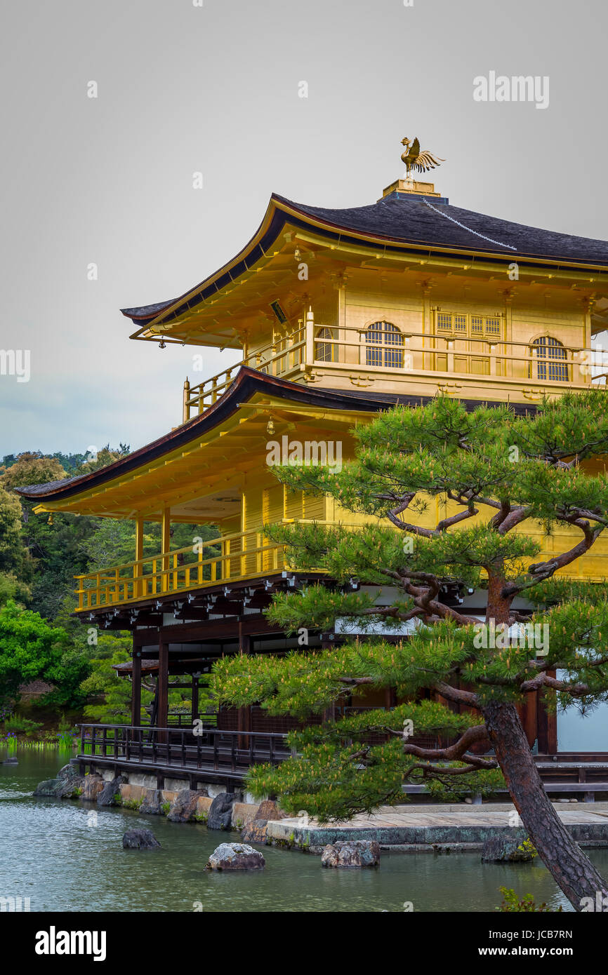 Temple d'or, le Kinkaku-ji est un temple bouddhiste Zen, Kyoto, Japon. Banque D'Images