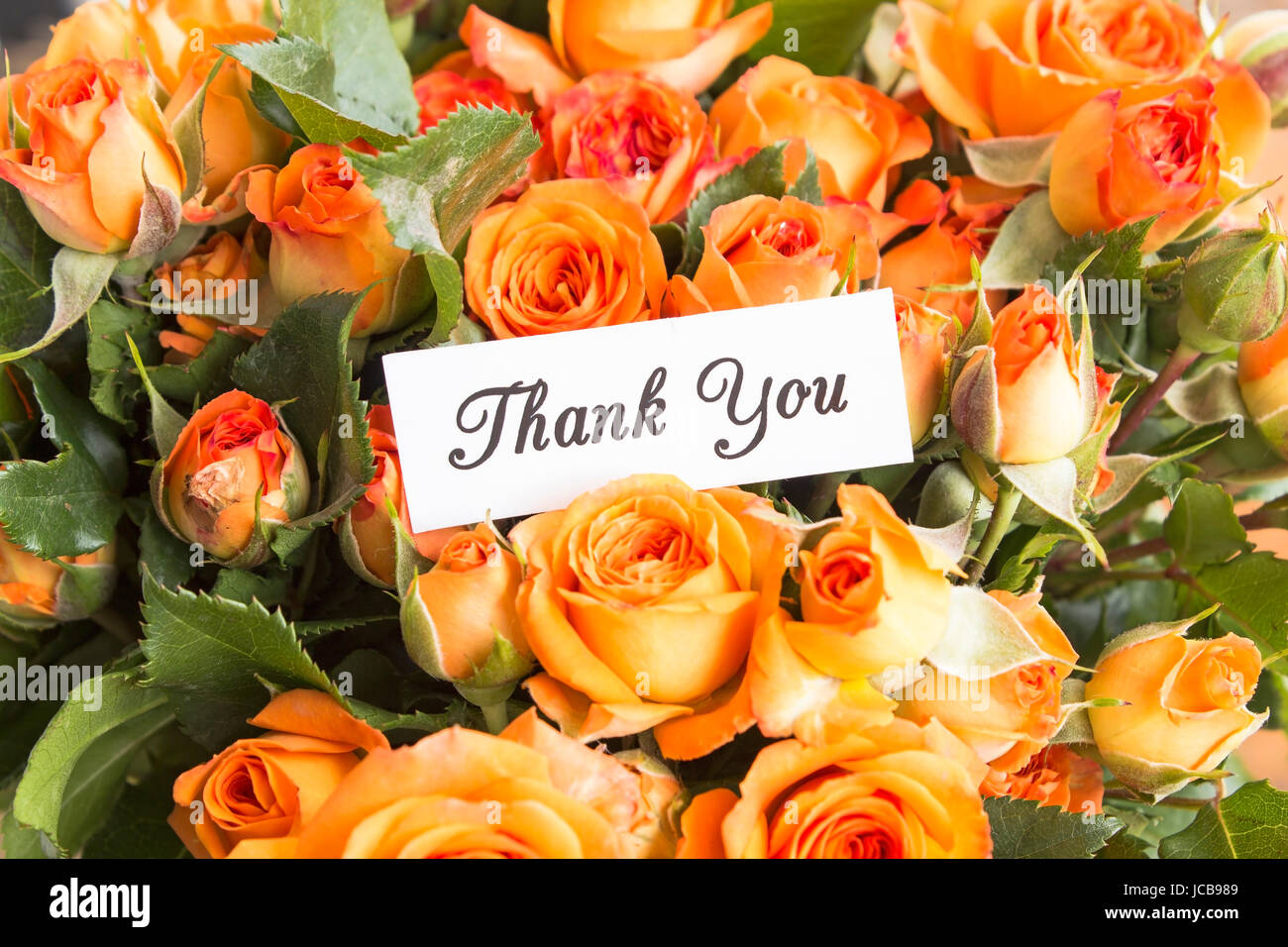 Carte de remerciement avec bouquet de roses Orange, Close Up. Banque D'Images