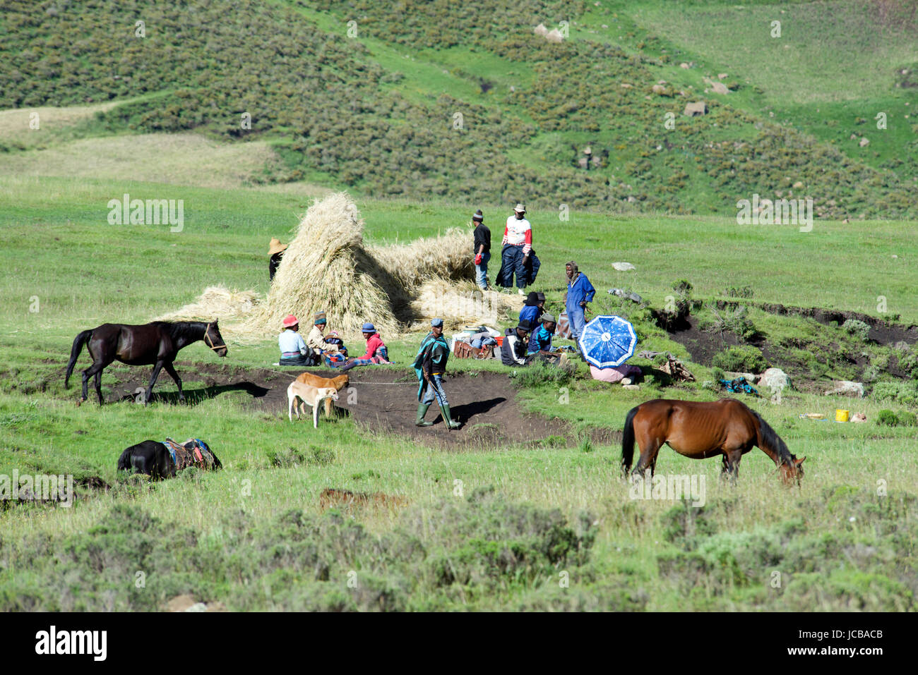 Scène rurale des hautes terres centrales villageois haystack Lesotho Afrique du Sud Banque D'Images